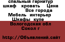 спальный гарнитур (шкаф   кровать) › Цена ­ 2 000 - Все города Мебель, интерьер » Шкафы, купе   . Вологодская обл.,Сокол г.